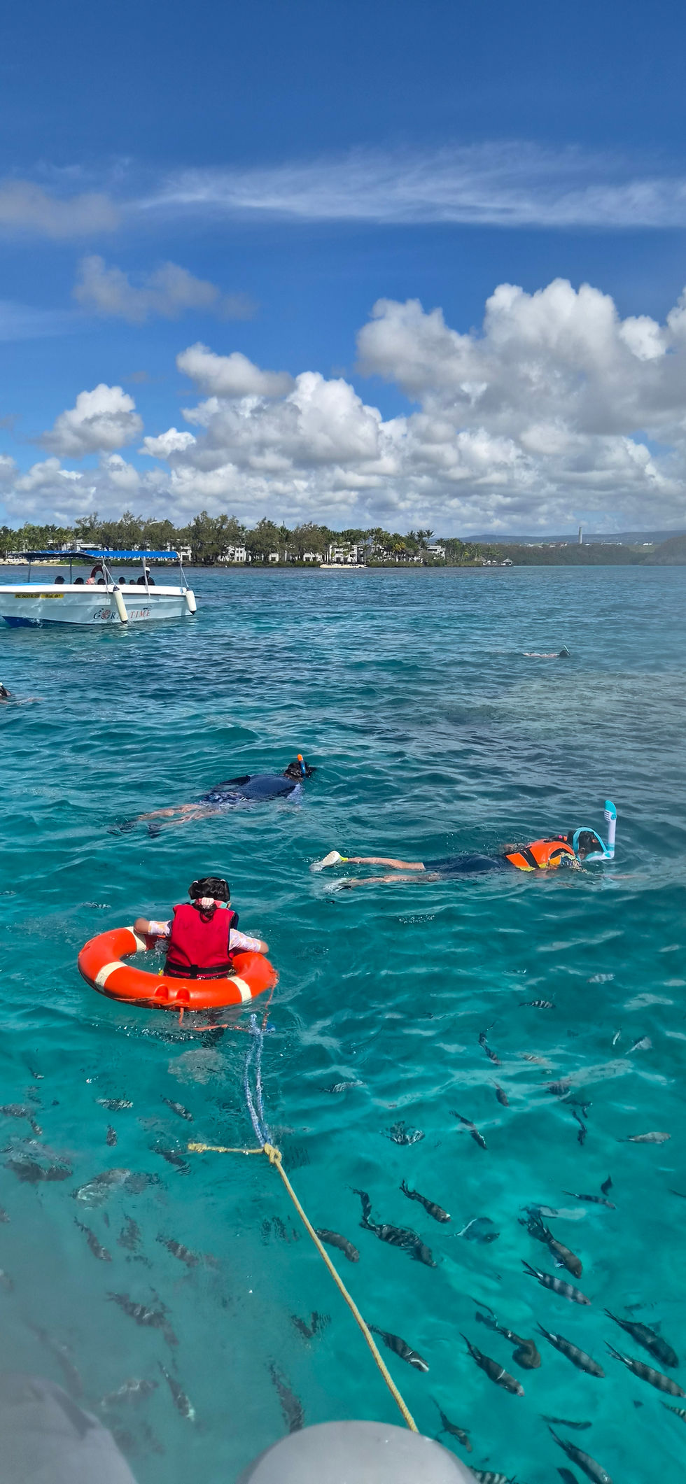 Snorkelling at Blue Bay Marine reserve with kids.
