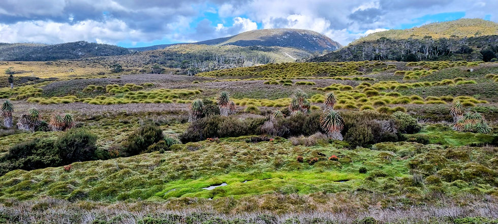Ronny creek - this extraterrestrial- like landscape