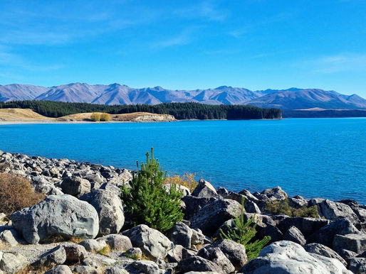 Things to know before travelling to New Zealand -