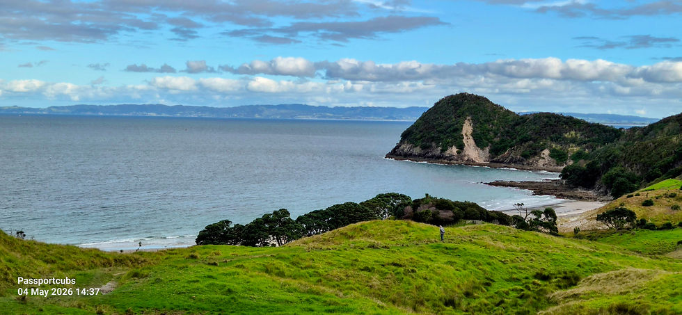 Smugglers Cove from the hillock Whangarei Heads — free things to do in Whangarei with kids, North Island New Zealand