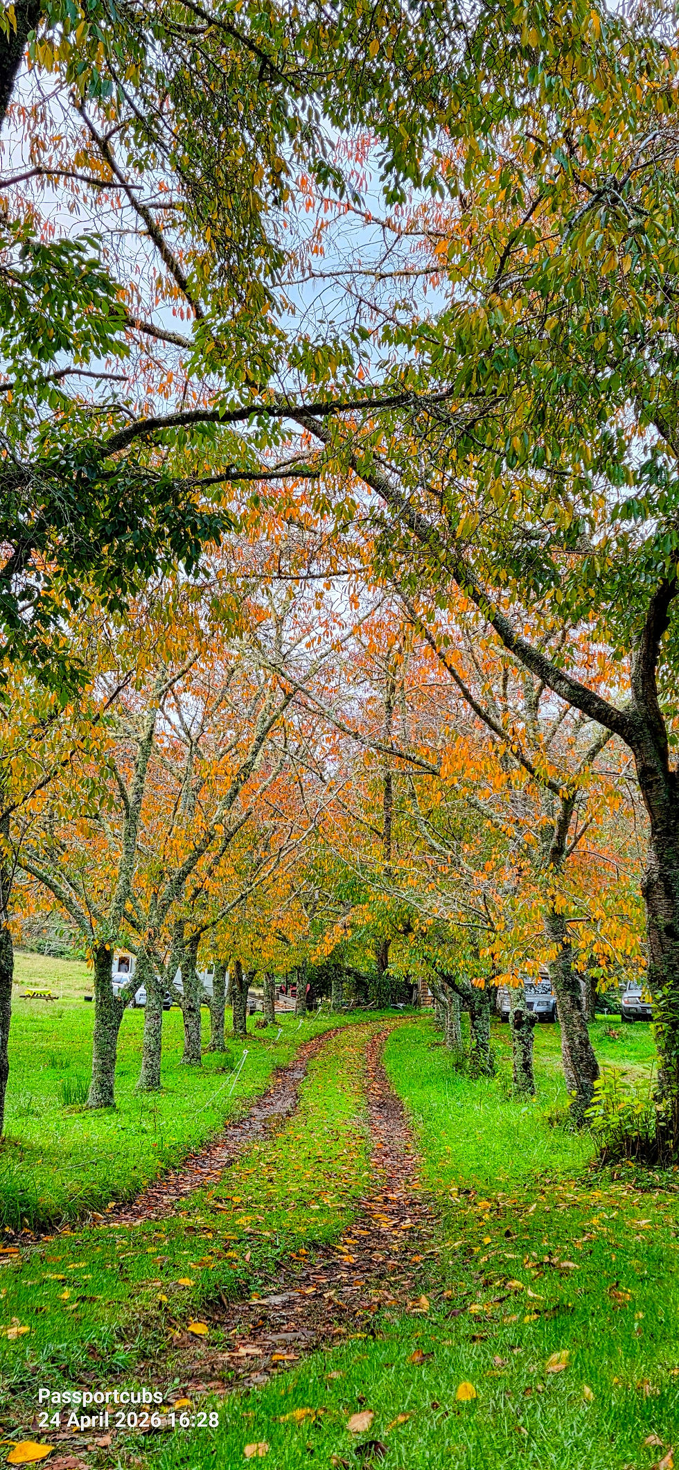 Kaimarama farm stay in autumn — unique family accommodation on the Coromandel Peninsula, North Island New Zealand