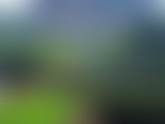 Sigiriya Rock Fortress Sri Lanka with Family: Best Time, Costs & Difficulty