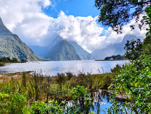 Milford Sound - how to plan the perfect trip !