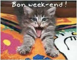 Pour plus de lectures, cliquez sur le chat