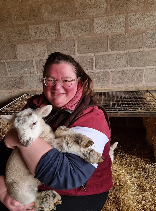 L LAMBS.jpeg