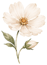 botanico_05.png