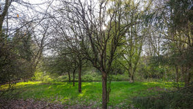 BELANG VAN OPENBAAR GROEN IN HOVE