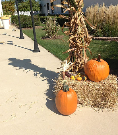 fall display.jpg