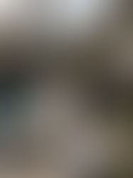 Wedding | Brittany & Chris