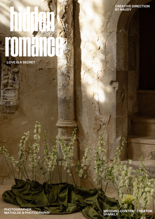 Hidden Romance