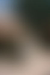 PHOTOGRAPHER | Taylor Kezia