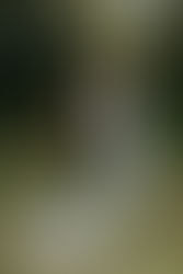 PHOTOGRAPHER | Jackie Chick