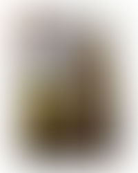 PHOTOGRAPHER | Samantha Riles