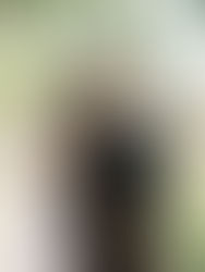PHOTOGRAPHER | Sarah Joy Landon
