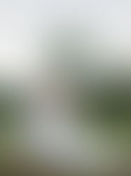 Wedding | Lily & Hunter