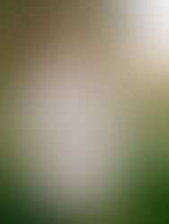 WEDDING PLANNERS | Londyn & Grey Events