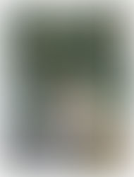 Wedding | Madeline & Tanner