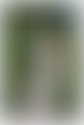 Wedding | Jess & Landen