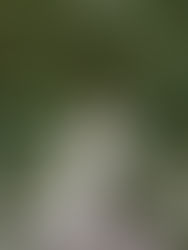 PHOTOGRAPHER | Nikki Strekowski