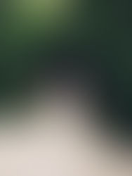 PHOTOGRAPHY & FILM | Emotions And Math