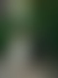 Wedding | Keren & Omer 