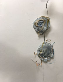 IMG_0783.jpeg