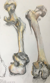 IMG_0537.jpeg