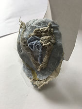 IMG_0766.jpeg