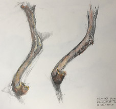 IMG_0540.jpeg