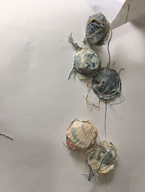 IMG_0785.jpeg