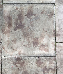 Leaf marks Peckham paving stones 14-11-2
