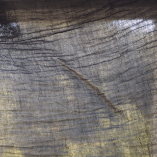 IMG_1305.gif