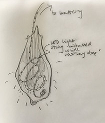 IMG_0999.jpeg