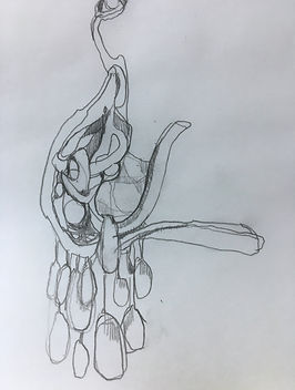 IMG_0992.jpeg