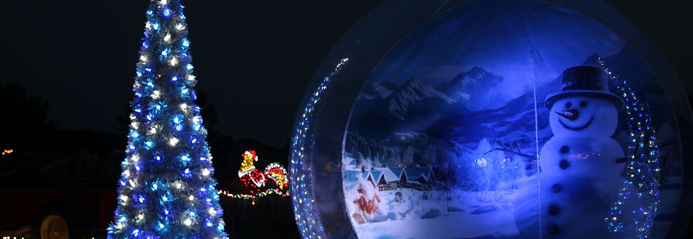 IMG_2271_edited.jpg
