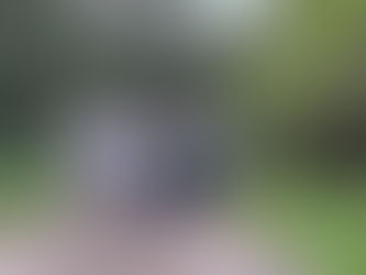 עשרה ימים, בטאק בולגריה