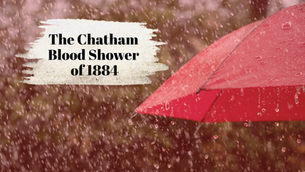 The Day it Rained Blood in Chatham County