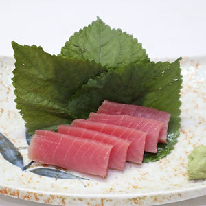 Sashimi cá ngừ