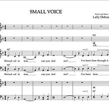 SMALL VOICE