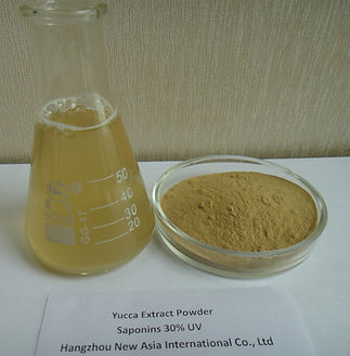 yucca extract powder