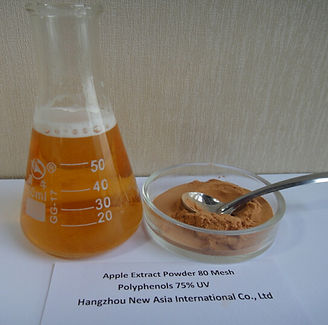 apple extract powder