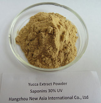 yucca extract powder