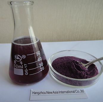 blueberry extract powder