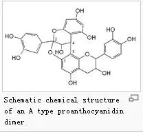 cranberry structure.png