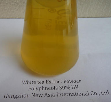 white tea extract powder