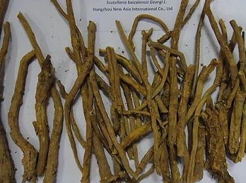 baical skullcap root.jpg