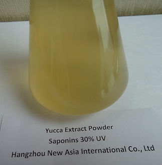yucca extract powder