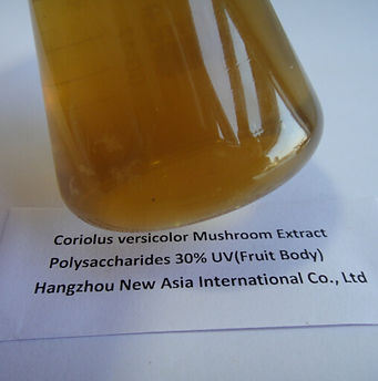 Coriolus Versicolor Mushroom Extract Powder