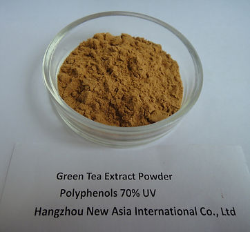 green tea extract powder