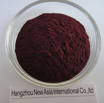 blueberry extract powder